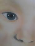 flycatchr's Avatar