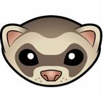 Salty Ferret's Avatar