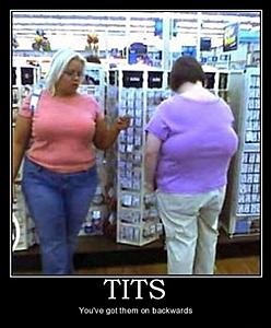 tits.jpg