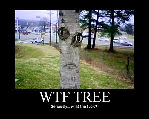 wtf_tree.jpg
